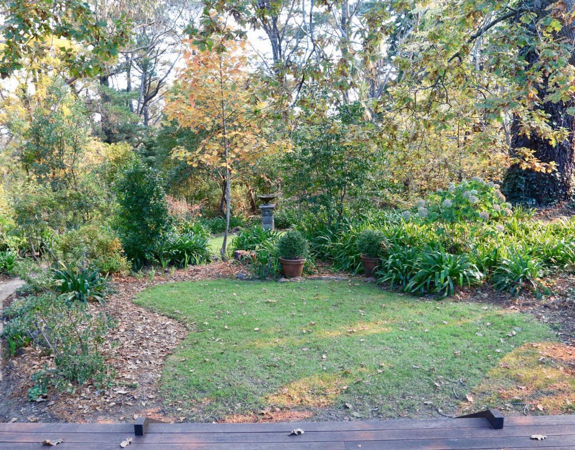 Poet's Cottage - Fireplace, Close to Treks Wentworth Falls Esterno foto